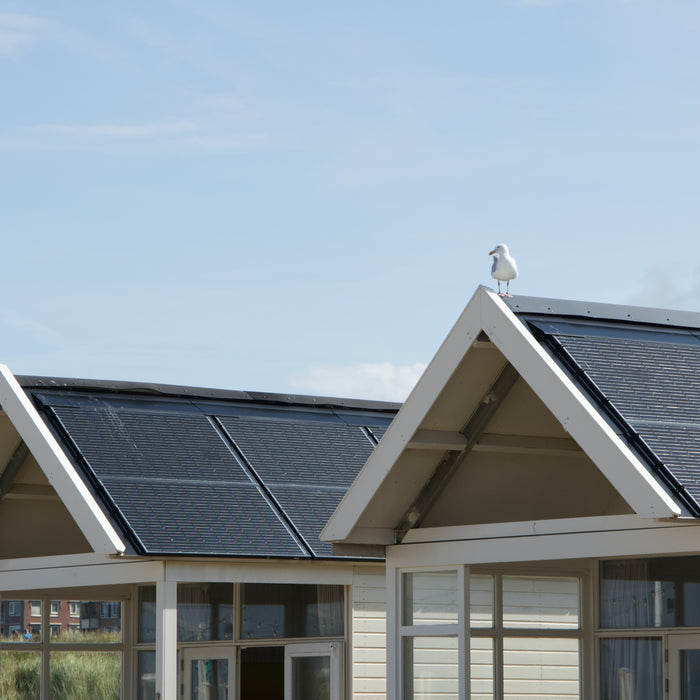 What are the Different Types of Solar Panel Mounts